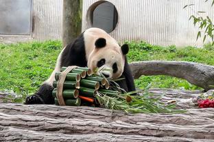 凯恩本场数据：2次错失良机，5次射门1射正，1次关键传球